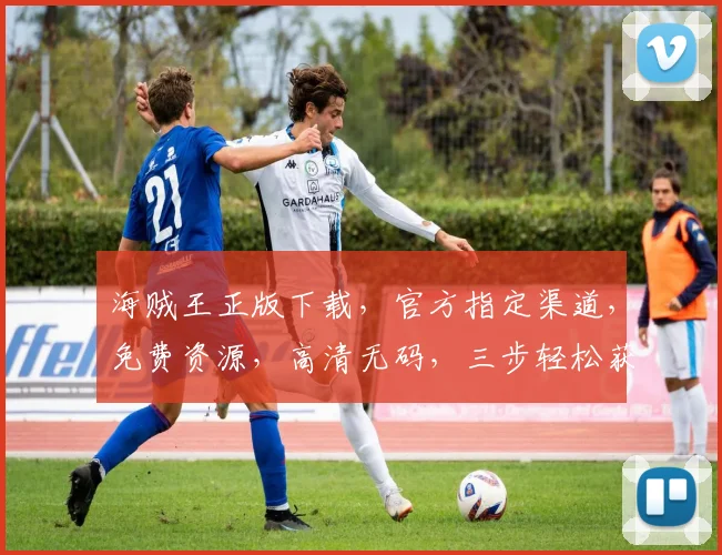 海贼王正版下载，官方指定渠道，免费资源，高清无码，三步轻松获取