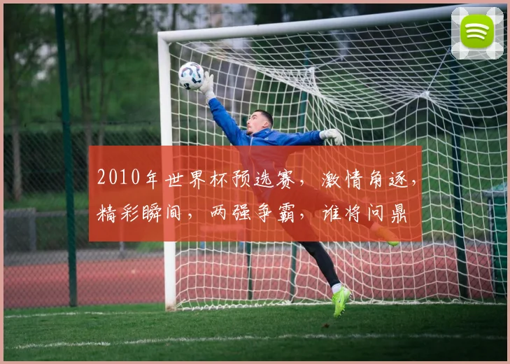 2010年世界杯预选赛，激情角逐，精彩瞬间，两强争霸，谁将问鼎