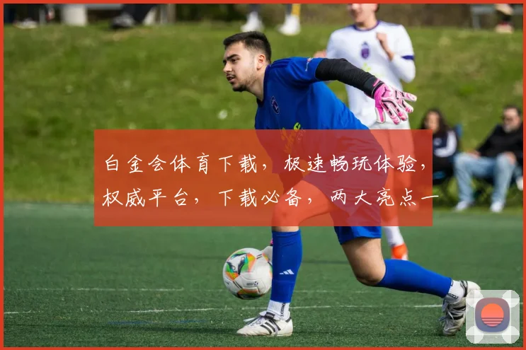 白金会体育下载，极速畅玩体验，权威平台，下载必备，两大亮点一网打尽