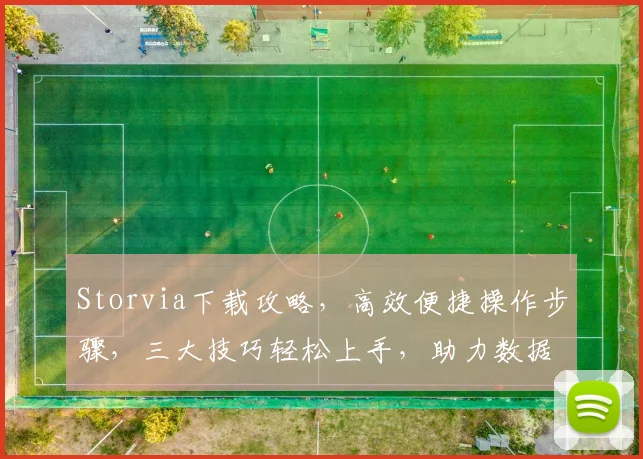 Storvia下载攻略，高效便捷操作步骤，三大技巧轻松上手，助力数据管理