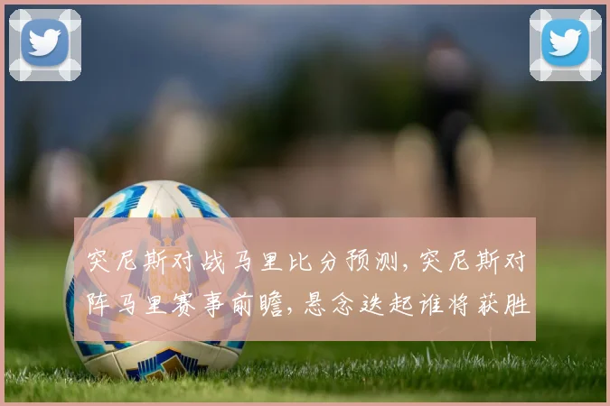突尼斯对战马里比分预测,突尼斯对阵马里赛事前瞻,悬念迭起谁将获胜